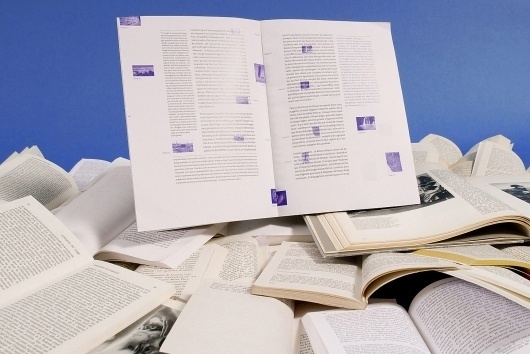 Sophie Demay - Process #publication
