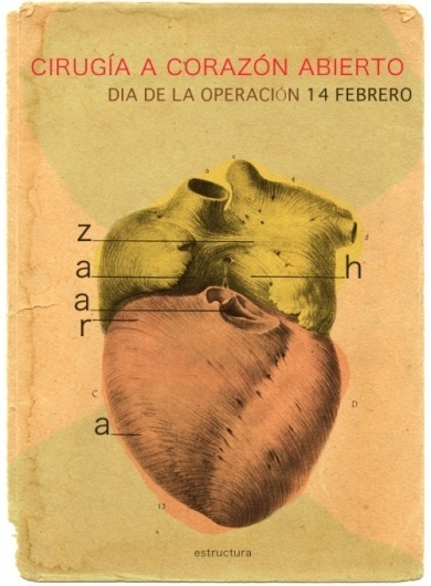 Maybe Someday - anatomical: (via tigertrap) #heart #design #anatomy