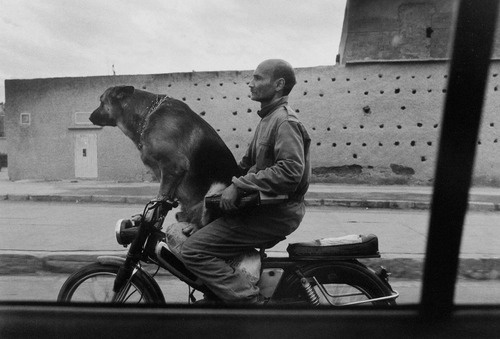 Photo: Stephan Würth; Reblogged from: mpdrolet http://bit.ly/W4xvSZ #photography