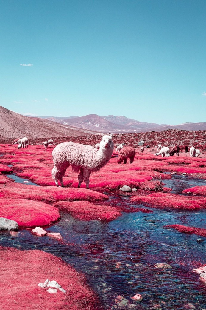 Infrared landscape photography by Paolo Pettigiani