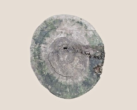 FFFFOUND! | but does it float #wood #texture