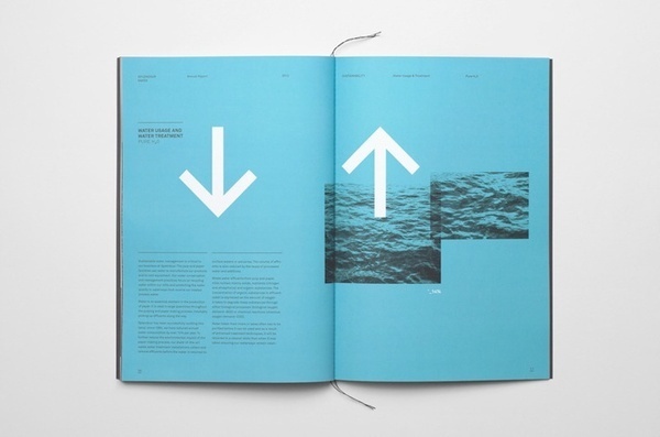 Annual Report Tomas Sabbatucci