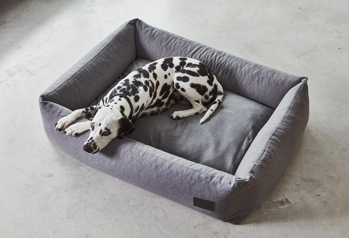 Divo Box Dog Bed