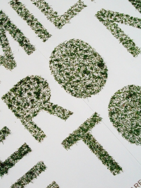 Semilla pero no se toca #print #identity