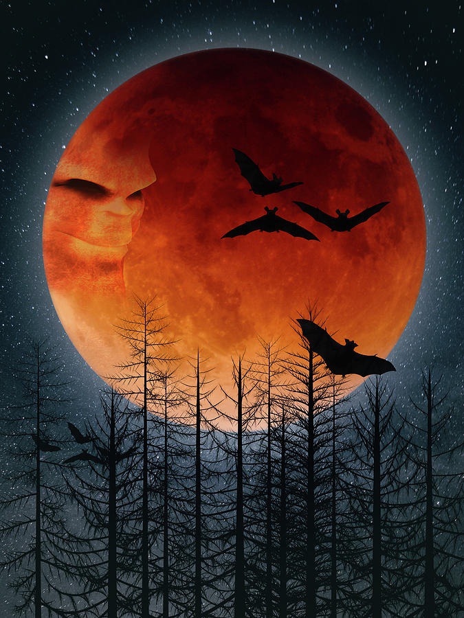 beginner easy halloween paintings & paint by numbers #painting
