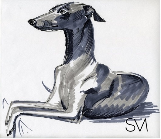 Rotulador 2009 | Silvia Mallofre #illustration #greyhound #dog