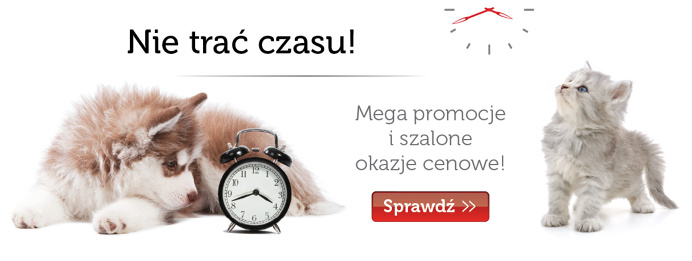 Produkty dla kotów
