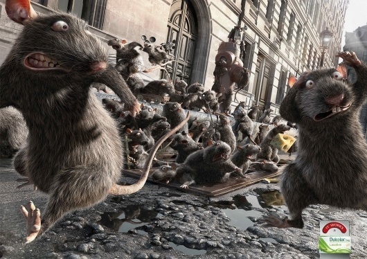 Dulcolax: Rats | Ads of the World™ #advertising