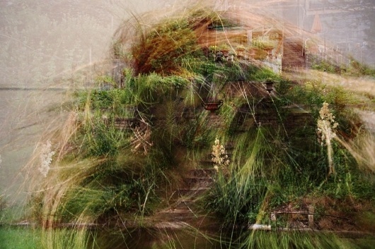 bad hair day : orient #fellerer #design #hair #photography #day #marge #collage #bad