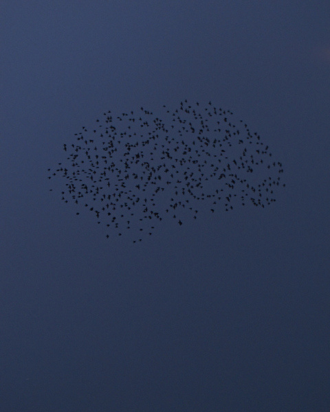 Johan Nieuwenhuize | PICDIT #photo #photography