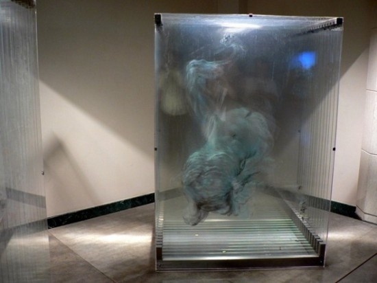 xia xiaowan12 #glass