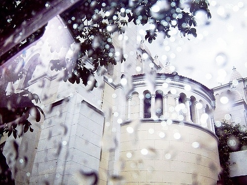 Ita speratur #photography