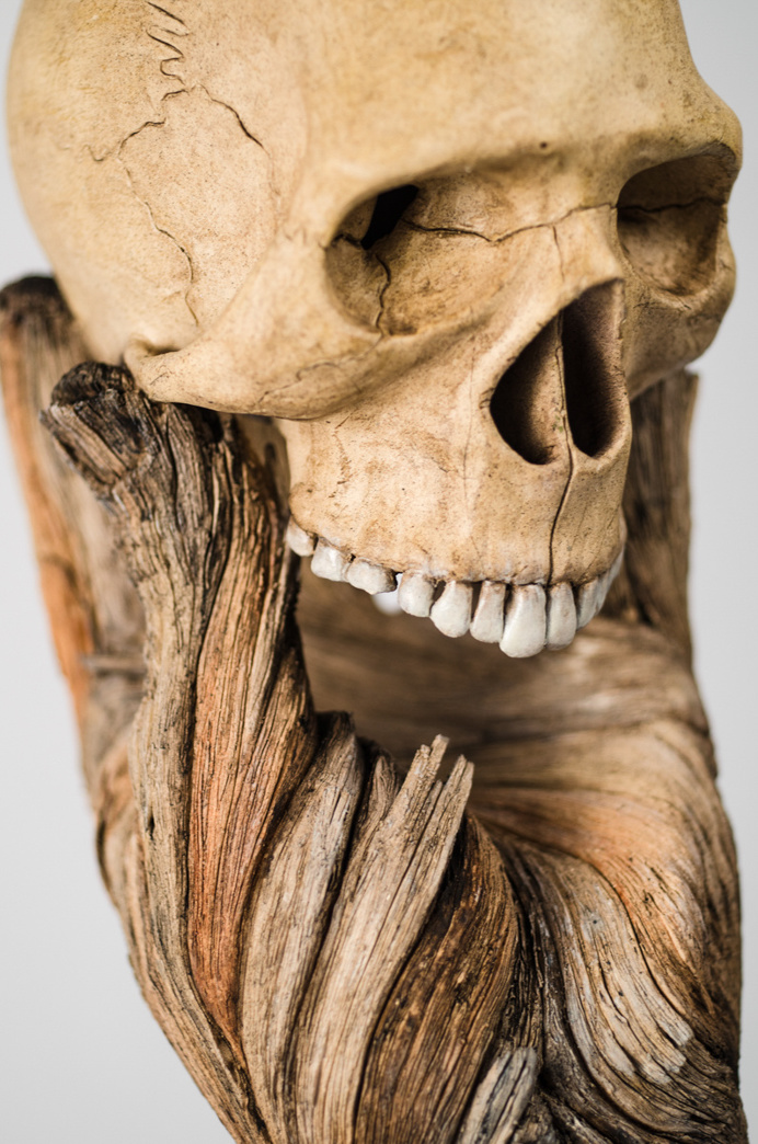 Alas, Poor Yorick 4