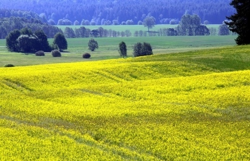 Photography Inspiration Blog #photography