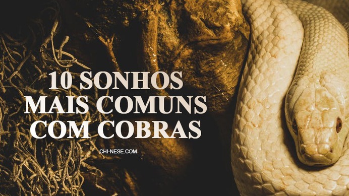 sonhar com cobra