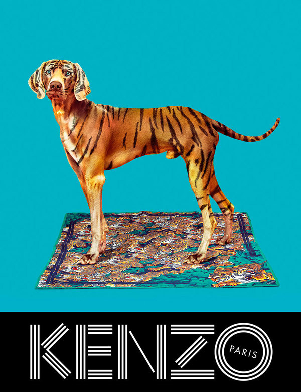 kenzo_fw13_campaign_3 #photography