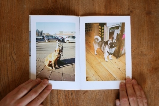 Book Du Jour: Hello Buddy by Ben Rayner | Self Publish, Be Happy #design #dogs #book #photography #rayner #ben