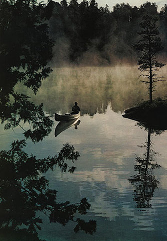 18 March 2010 #trees #landscapes #water #green