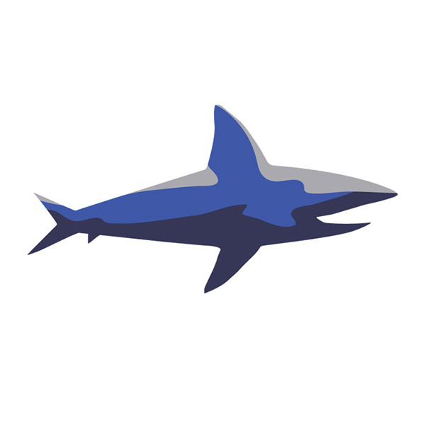 ACUARIO INBURSA - ICONOGRAFÍA on Behance #draw #shark #illustration #sea #sealife #capitancharls