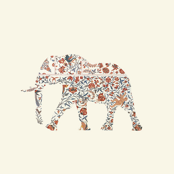 R E N O V A T I O #pattern #floral #elephant #illustration #silhouette #flowers