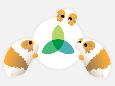 StudySoup mascot Adler #design #flat #brand #mascot #icon #study #college #student #studysoup