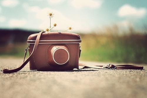Photography by Mathijs Delva | Professional Photography Blog #inspiration #photography