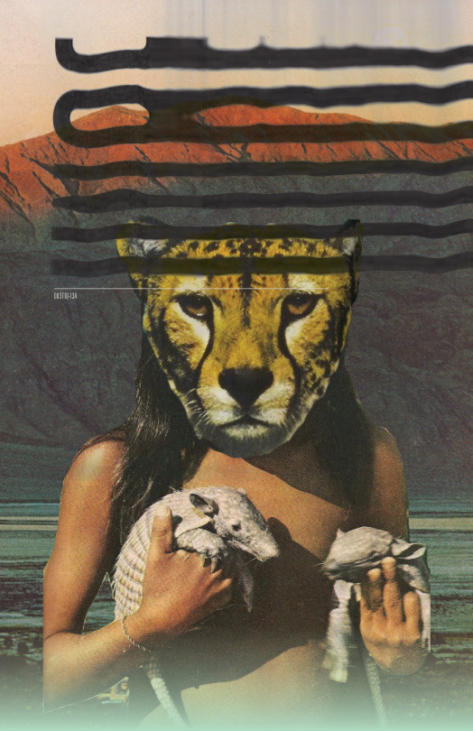 #poster #collage #design #typography #thomasadcock