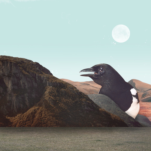 #collage #art #handmade #digitalcollage #bird #magpie