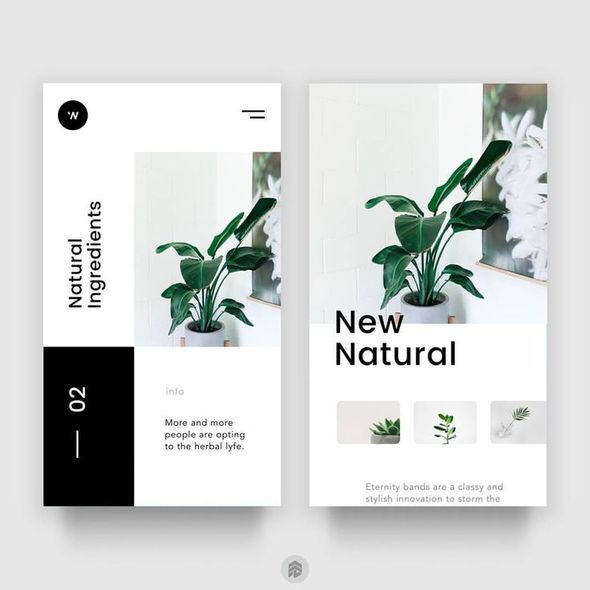 layout