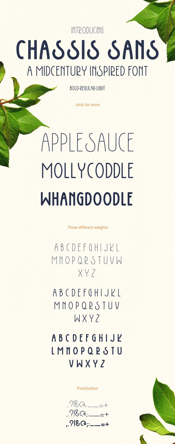 Chassis Sans Font Family