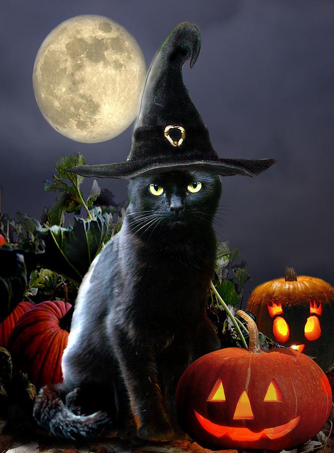beginner easy halloween paintings & paint by numbers #painting