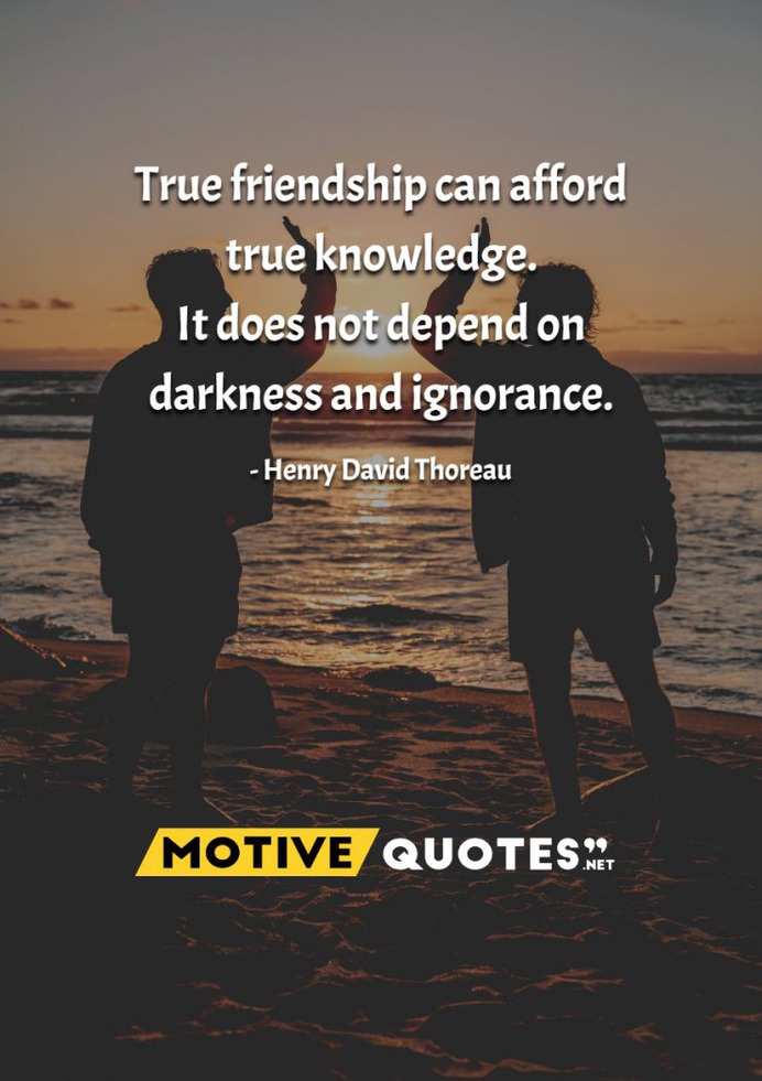 True friendship can afford true knowledge.
