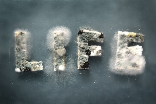 DSC_0220_web-copy.jpg (JPEG Image, 600 × 399 pixels) #lettering #design #illustration #type #typography