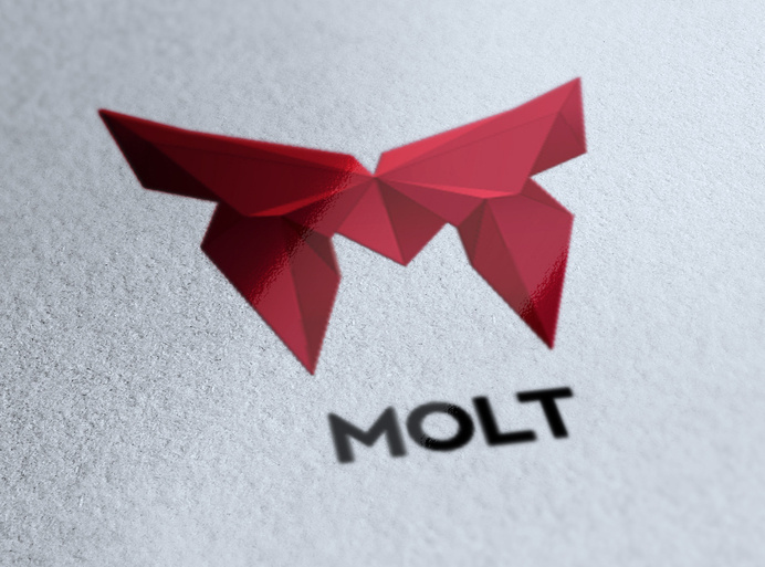 Molt Identity Corporate by Bruno do Nascimento #logotype #polygon #geometry #branding #poly #corporate #identity #lowpoly #logo