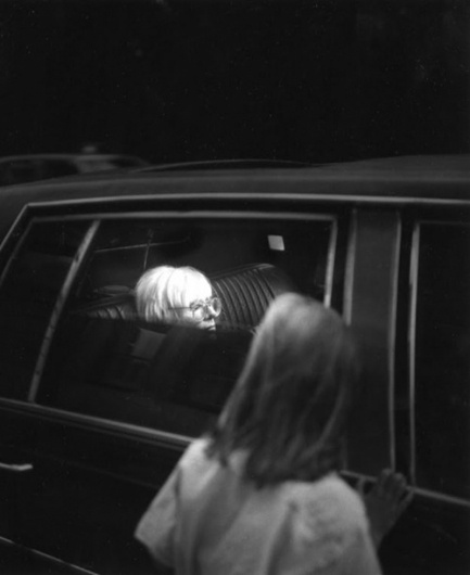 Cavalier #photography