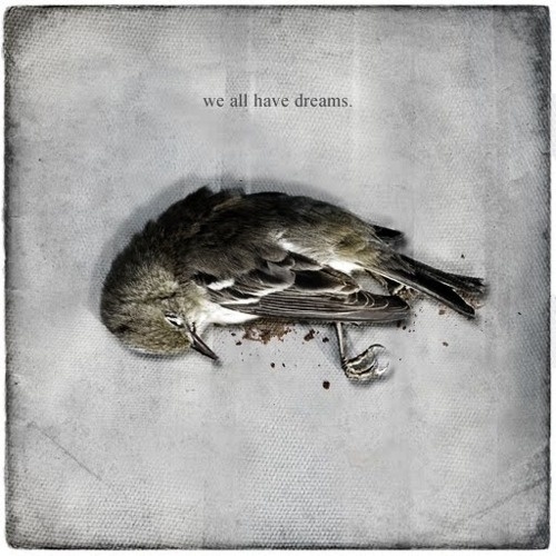 Betraydan #print #cover #manipulation #art #dreams