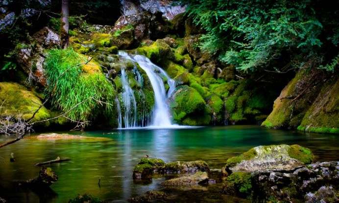 Forest Waterfall Nice Best Hd Wallpapers For Desktop – WallpapersBae