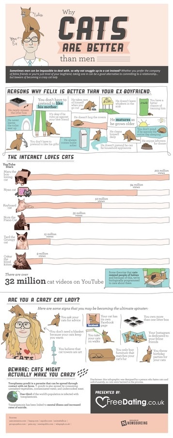 What Cats are Better than Men #infographic #design #graphic