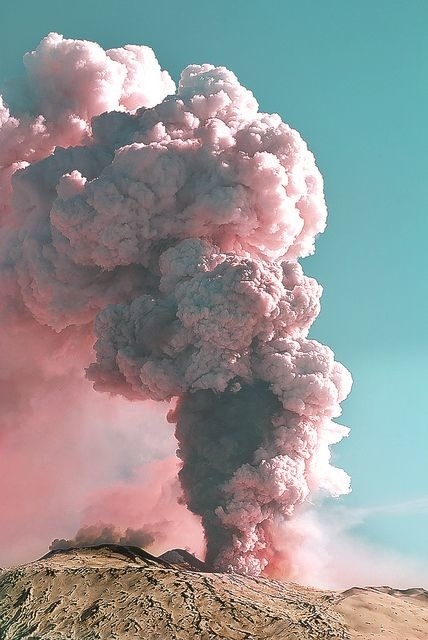 f7766a9d4b01380f612a6cff39664658.jpg (428×640)