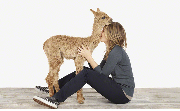 About Our Site #alpaca #animal #woman #love