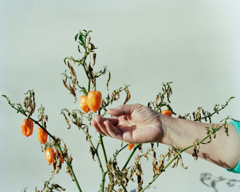 Tony Luong | PICDIT #photo #photos #photography