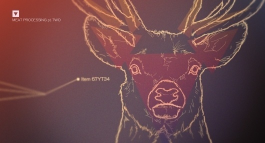 Shrani.si - Brezplačna spletna shramba za vaše slike - fetis3.jpg #infographic #reindeer #moose #illustration