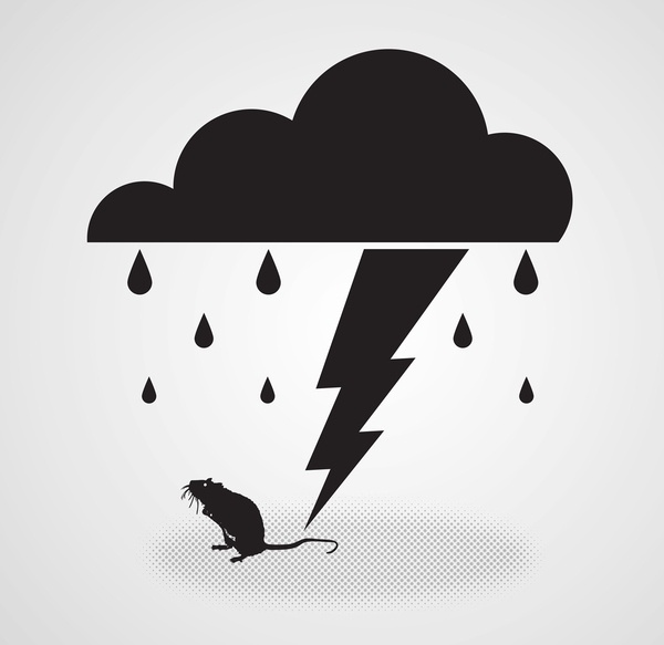 Wet Rat on the Behance Network
