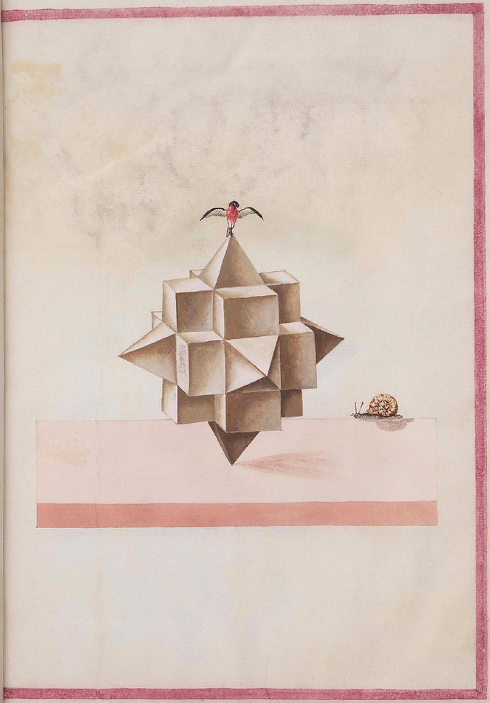 The images below (background spot-cleaned) come from a rather obscure 16th century anonymous paper manuscript containing sketches of geometr #shapes #form #geometry #abstract