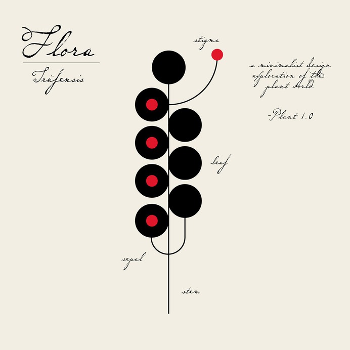 FLÖRA on Behance