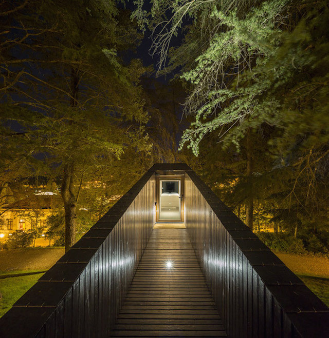 treesnakehouse-14