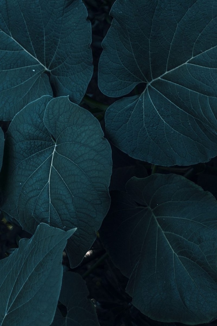 Colorful and Texture Photography by Xuebing DU