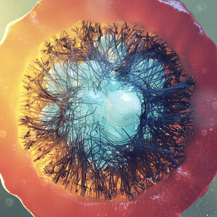 rawandrendered