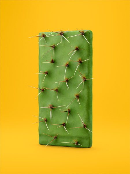 Have a Nice Day #cactus #yellow #green