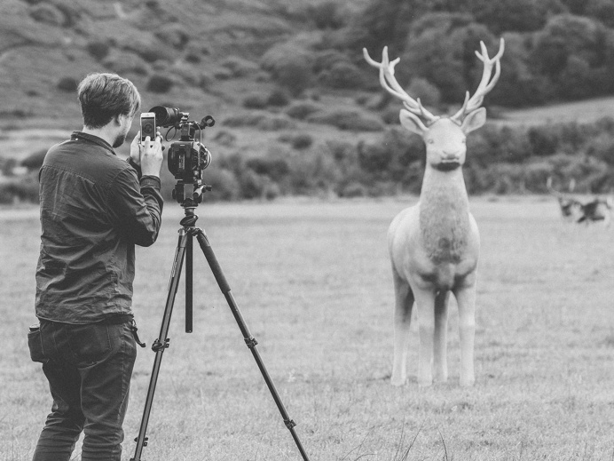 #animal #black&white #black #photography #art #stag #deer
